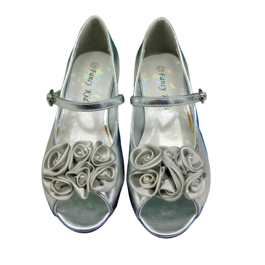 DM21 - SILVER