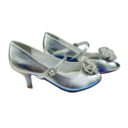DM21 - SILVER